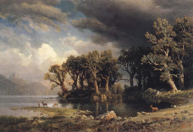 The Coming Storm, Albert Bierstadt